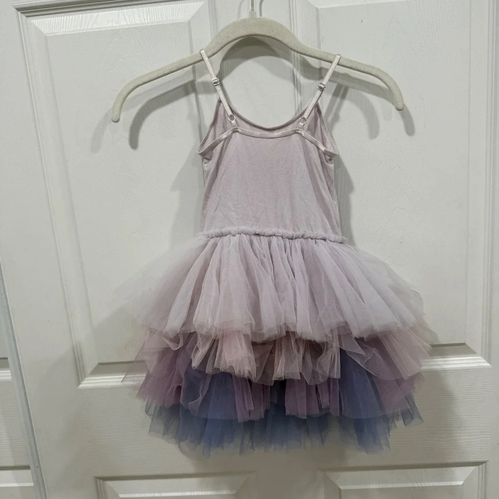 Tutu Du Monde Girls Lavender Blue 3D Floral Tulle Dress TDM3664 Size 2-3